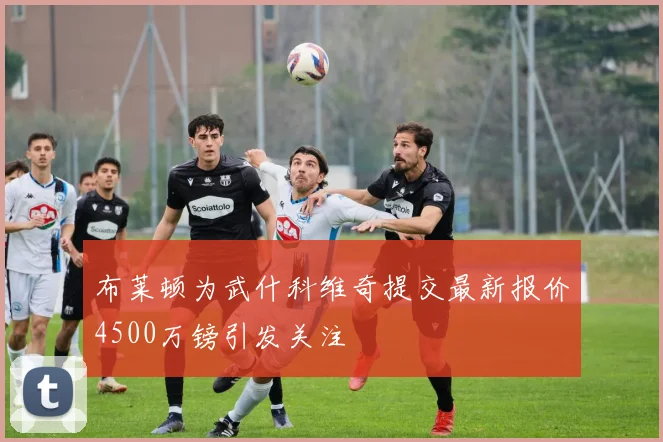 布莱顿为武什科维奇提交最新报价4500万镑引发关注